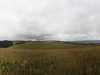 IMG_4688 Panorama_resize